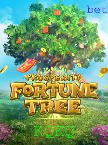 KQKQ Casino App